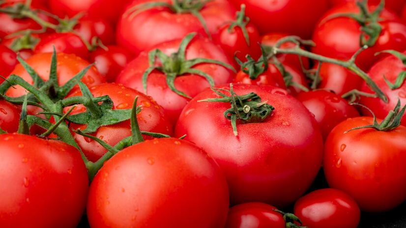 Bea tomate indola.png